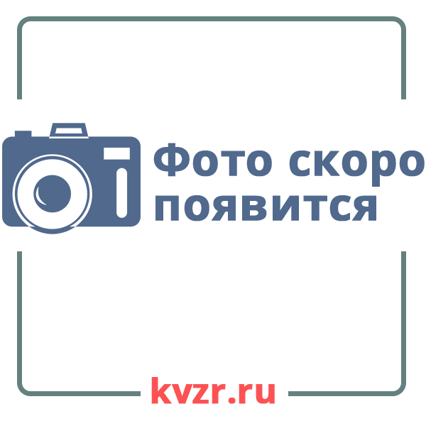 Шнековый питатель